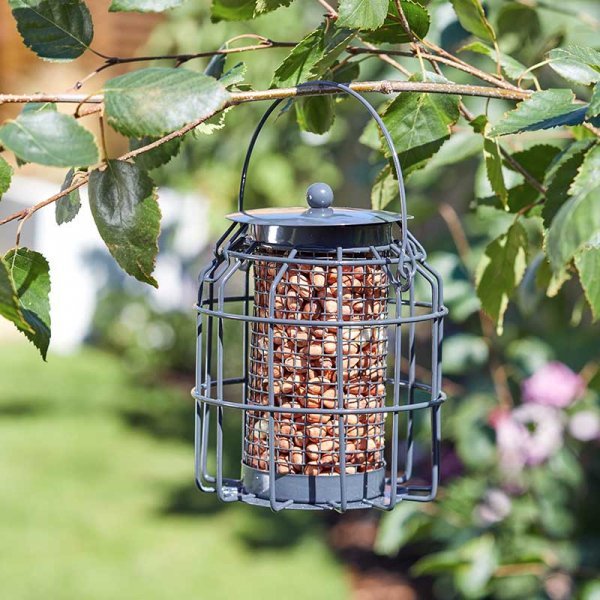 Compact Squirrel Proof Peanut Feeder | Peanut Feeder | 7512009 5050642027670 | AllotMate Essentials