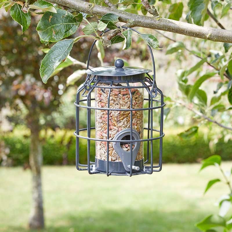 Compact Squirrel Proof Seed Feeder, Guardian Cage Bird Feeder, 15cm High | Wildlife and Bird Care | 7512011-B 5050642027687 | AllotMate Essentials