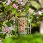 Compact Squirrel Proof Seed Feeder, Guardian Cage Bird Feeder, 15cm High | Wildlife and Bird Care | 7512011-G 5050642027687 | AllotMate Essentials