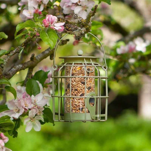 Compact Squirrel Proof Seed Feeder, Guardian Cage Bird Feeder, 15cm High | Wildlife and Bird Care | 7512011-G 5050642027687 | AllotMate Essentials