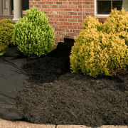 Composted Mulch Bark Fines | Topsoil & Compost | DCMFHBB Custom Product | AllotMate Essentials