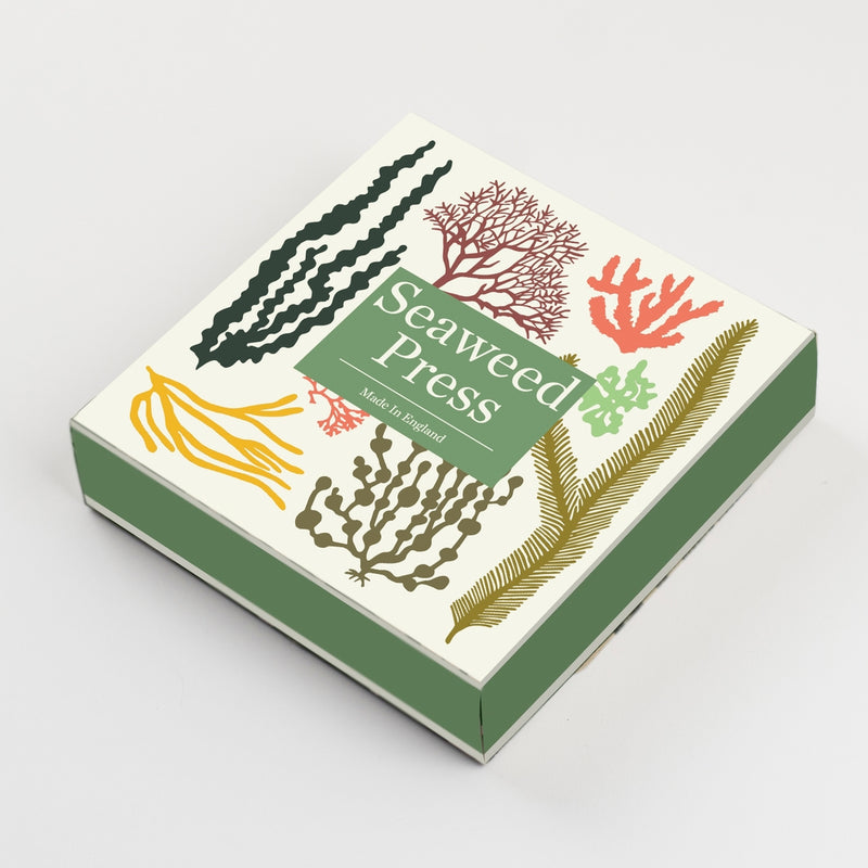 Seaweed Press Kit 15cm Wooden Flower and Seaweed Press, Made in United Kingdom