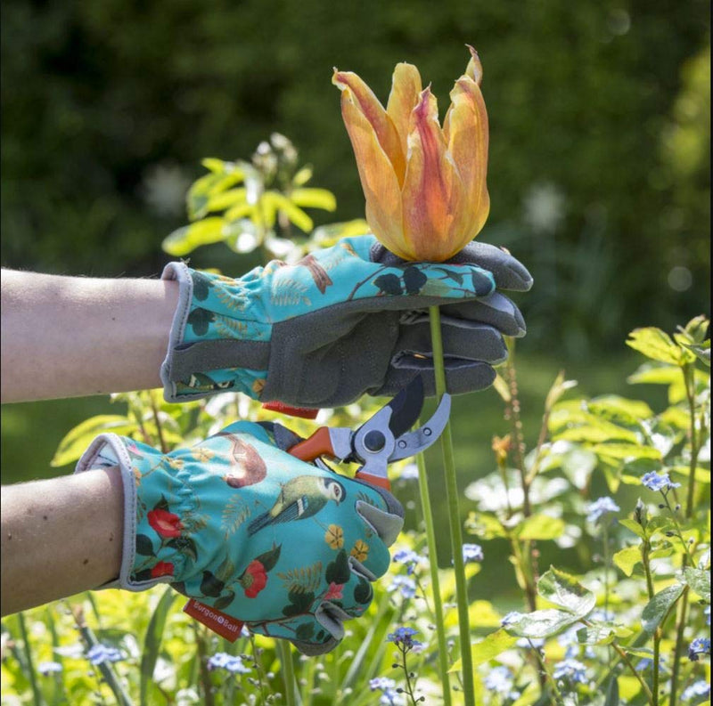 Flora and Fauna Gloves: women's gardening gloves with a botanical songbird and foliage print, cushioned palm, and gathered wrist | Gift Gloves | 5019360013204 5019360013204 | AllotMate Essentials