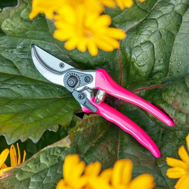 FloraBrite® Bypass Secateurs | RHS Endorsed | Bright Garden Tool in Pink | Best secateurs for finding tools you put down in the garden | Bypass Secateurs | 5019360013068 5019360013068 | AllotMate Essentials
