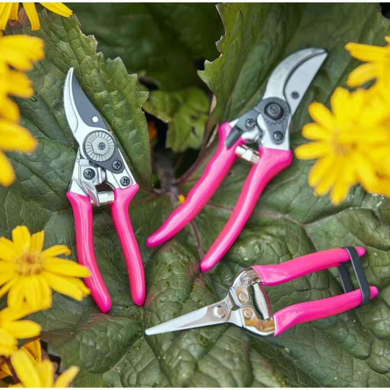 FloraBrite® Bypass Secateurs | RHS Endorsed | Bright Garden Tool in Pink | Best secateurs for finding tools you put down in the garden | Bypass Secateurs | 5019360013068 5019360013068 | AllotMate Essentials
