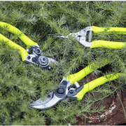 FloraBrite® Bypass Secateurs | RHS Endorsed | Bright Garden Tool in Yellow| Best secateurs for finding tools you put down in the garden | Bypass Secateurs | 5019360013051 5019360013051 | AllotMate Essentials