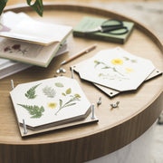 Flower Press Line Design 15cm Wooden Flower Press Kit, Made in England | Flower Press Kit | 5060918580013 5060918580013 | AllotMate Essentials