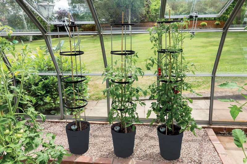 Garland Self Watering Grow Pot Tower in Anthracite Grey: 11 Litre Recycled Plastic Pot with 4 Litre Reservoir and 1.5m Aluminium Support Frame for Tomatoes, Peppers and Sweet Peas (Copy)