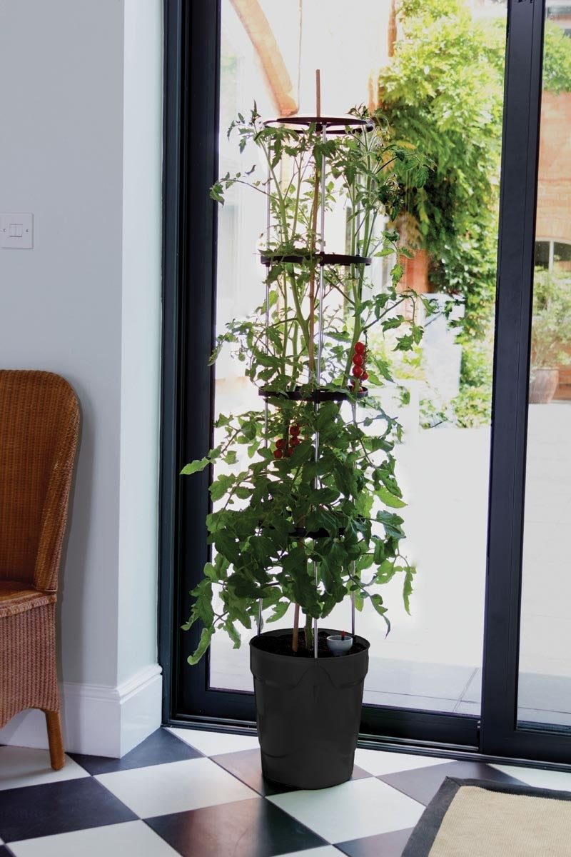 Garland Self Watering Grow Pot Tower in Anthracite Grey: 11 Litre Recycled Plastic Pot with 4 Litre Reservoir and 1.5m Aluminium Support Frame for Tomatoes, Peppers and Sweet Peas (Copy)