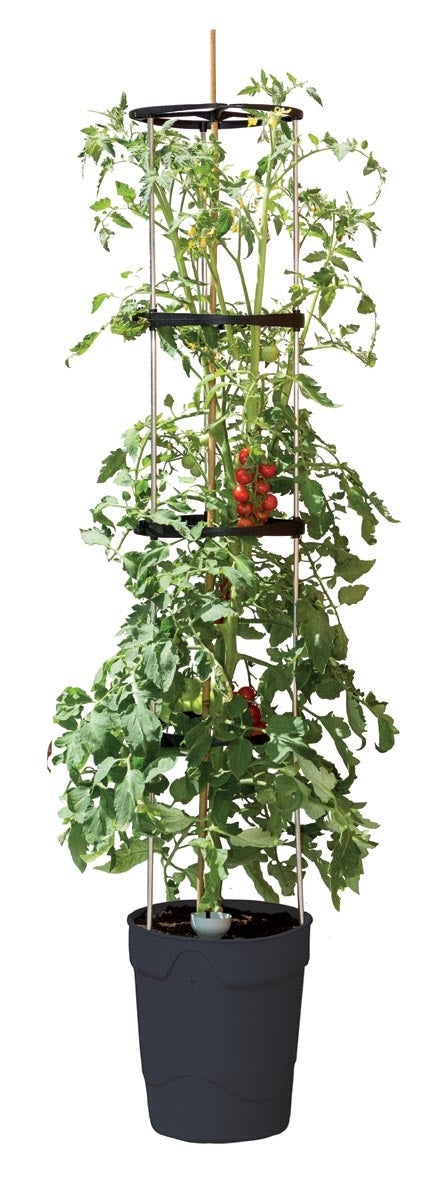 Garland Self Watering Grow Pot Tower in Anthracite Grey: 11 Litre Recycled Plastic Pot with 4 Litre Reservoir and 1.5m Aluminium Support Frame for Tomatoes, Peppers and Sweet Peas (Copy)