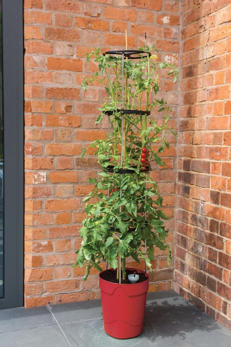 Garland Self Watering Grow Pot Tower in Red: 11 Litre Recycled Plastic Pot with 4 Litre Reservoir and 1.5m Aluminium Support Frame for Tomatoes, Peppers and Sweet Peas (Copy) (Copy)