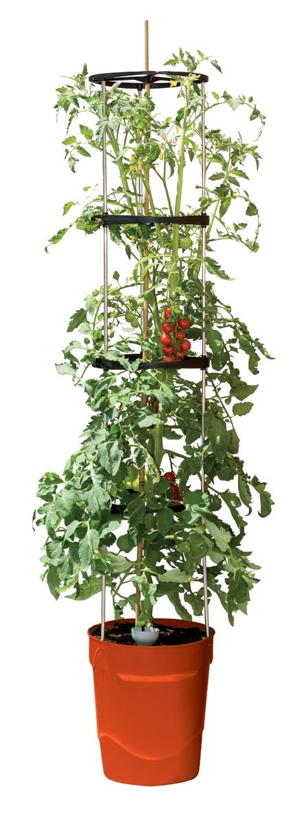 Garland Self Watering Grow Pot Tower in Red: 11 Litre Recycled Plastic Pot with 4 Litre Reservoir and 1.5m Aluminium Support Frame for Tomatoes, Peppers and Sweet Peas (Copy) (Copy)