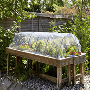 G50 Poly Sheet, Clear, 2 m x 5 m | Plant Protection | 7014008 5050642046923 | AllotMate Essentials