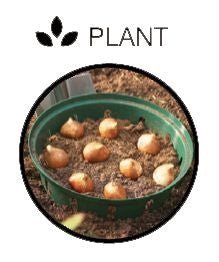 Rectangular Bulb Baskets – Ideal for Layered Bulb Planting | Garland | Bulb Baskets | W0470 5031670504708 | AllotMate Essentials