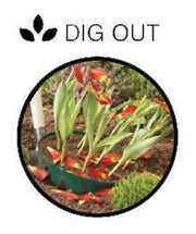 Rectangular Bulb Baskets – Ideal for Layered Bulb Planting | Garland | Bulb Baskets | W0470 5031670504708 | AllotMate Essentials