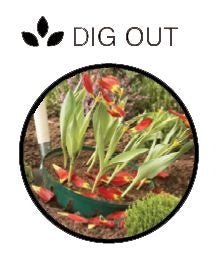 Rectangular Bulb Baskets – Ideal for Layered Bulb Planting | Garland | Bulb Baskets | W0470 5031670504708 | AllotMate Essentials