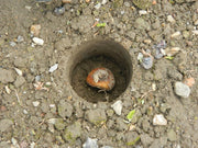 Bulb Planter – Heavy Duty Steel Tool for Precision Planting | Ergonomic Grip | Bulb Planter | W0474 5031670504746 | AllotMate Essentials