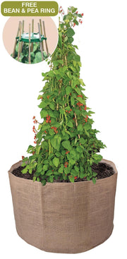 Garland Bean & Pea Bag with a free Bean & Pea Ring | Bean & Pea Planter | W0493 5031670504937 | AllotMate Essentials