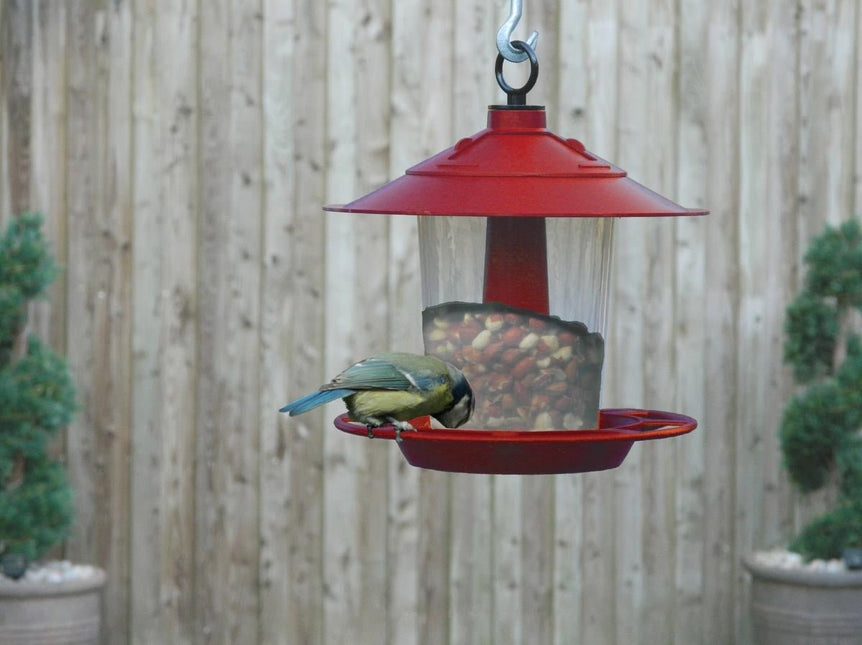 Garland Garland Lantern Bird Seed & Nut Feeder - Bird Feeder - AllotMate Essentials - W2070 - 5031670520708
