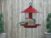 Lantern Bird Seed & Nut Feeder – Hanging Feeder for Wild Birds | Garland | Bird Feeder | W2070 5031670520708 | AllotMate Essentials