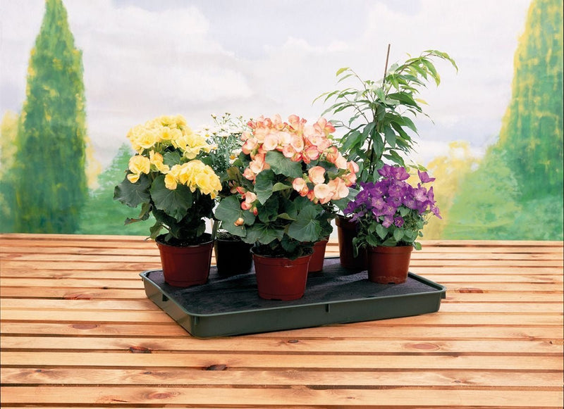 Large Self - Watering Plant Tray – Indoor or Greenhouse Use | Garland | Trays | G70 5031670001948 | AllotMate Essentials