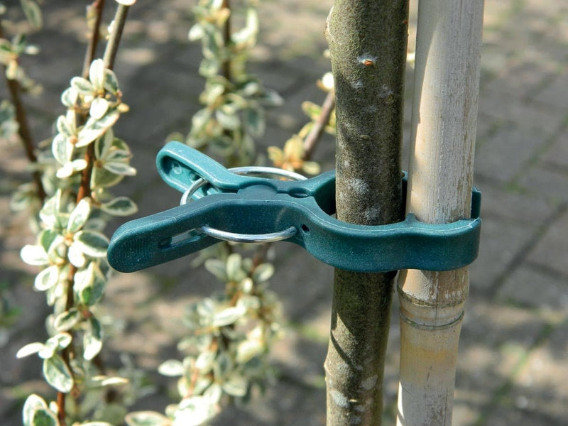 Large Spring Plant Clips – Gentle Stem Support Clips (Pack of 5) | Garland | Plant Clips | W1812 5031670518125 | AllotMate Essentials