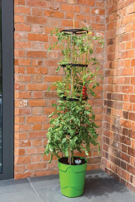 Self - Watering Grow Pot Tower – Vertical Garden System in Green, Red and Anthracite Grey | Garland | Self Watering Grow Pot | G195AN 5031670003737 | AllotMate Essentials