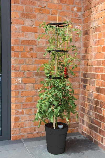 plant tower self watering Self-Watering Grow Pot Tower – Vertical Garden System in Green, Red and  Anthracite Grey | Garland | Garland