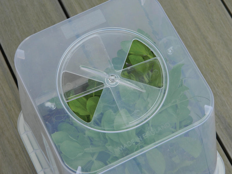 25cm Square Cloche Cover – Mini Greenhouse for Seedlings | Garland | Cloche | G258 5031670004437 | AllotMate Essentials