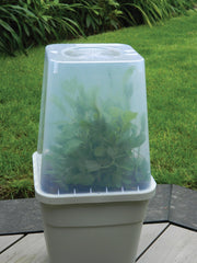 25cm Square Cloche Cover – Mini Greenhouse for Seedlings | Garland | Cloche | G258 5031670004437 | AllotMate Essentials