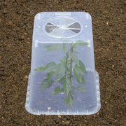 25cm Square Cloche Cover – Mini Greenhouse for Seedlings | Garland | Cloche | G258 5031670004437 | AllotMate Essentials