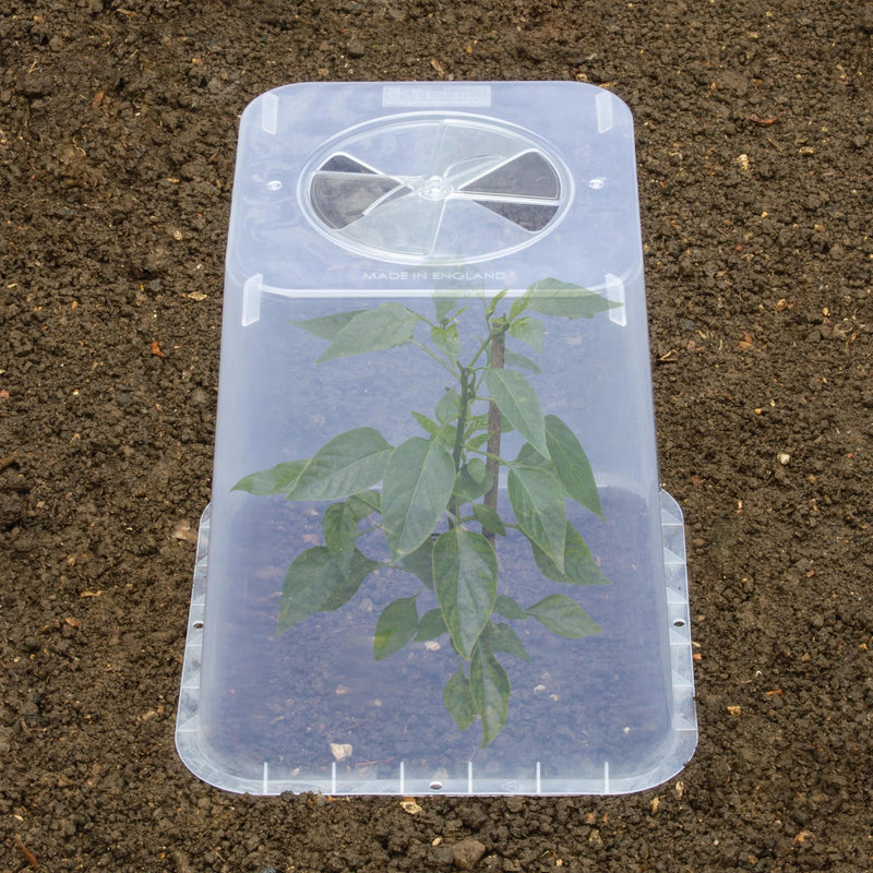 25cm Square Cloche Cover – Mini Greenhouse for Seedlings | Garland | Cloche | G258 5031670004437 | AllotMate Essentials