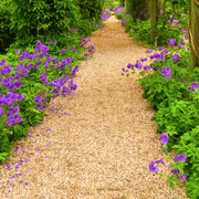 Golden Gravel Chippings | Gravel, Slate & Aggregates | DGG20HBB Custom Product | AllotMate Essentials