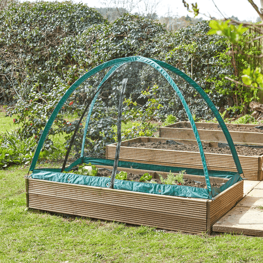 GroCage Crop Protection Tent, 2.0m x 2.0m | Plant Protection | 6511025 5050642078719 | AllotMate Essentials