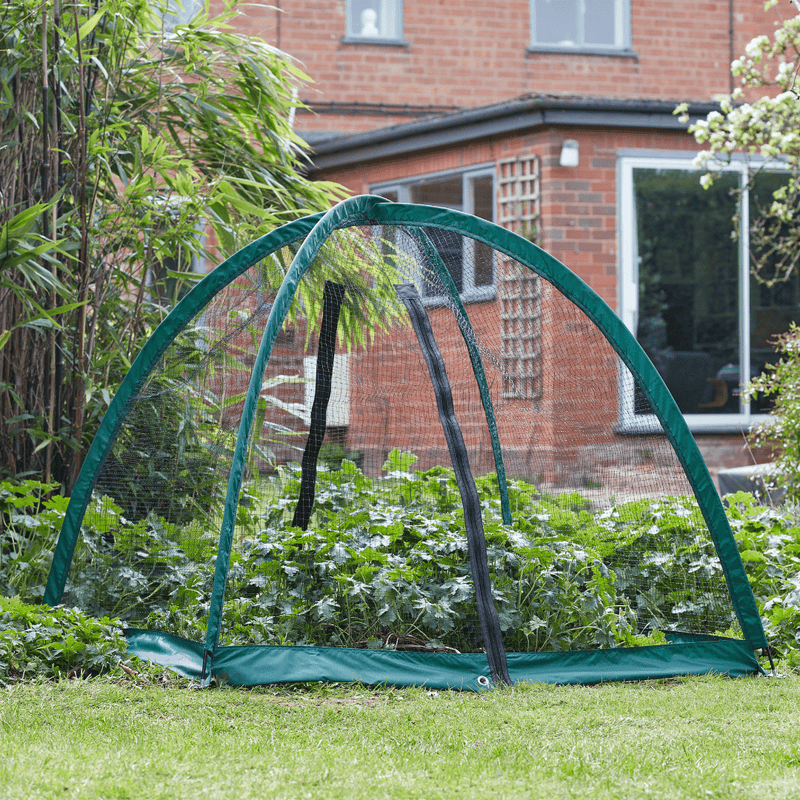 GroCage Crop Protection Tent, 2.0m x 2.0m | Plant Protection | 6511025 5050642078719 | AllotMate Essentials