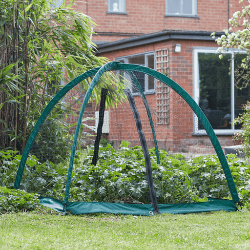 GroCage Crop Protection Tent, 2.0m x 2.0m | Plant Protection | 6511025 5050642078719 | AllotMate Essentials
