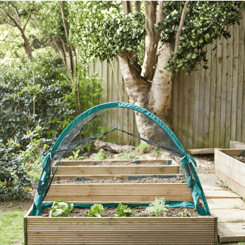 GroCage Crop Protection Tent, 2.0m x 2.0m | Plant Protection | 6511025 5050642078719 | AllotMate Essentials