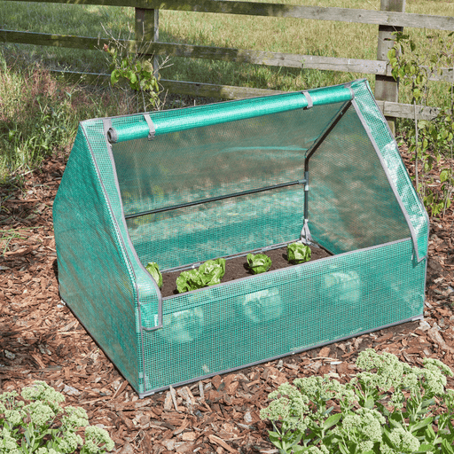 GroCloche Cold Frame, 1.24m x 0.94m x 0.93m | Cold Frame | 6511011 5050642051033 | AllotMate Essentials