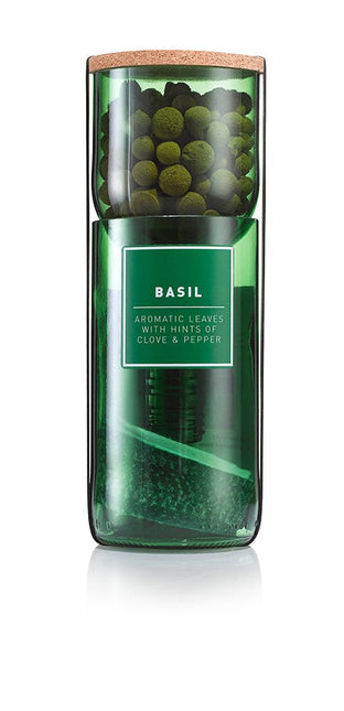 Hydro - Herb – Basil Growing Kit in Recycled Wine Bottle | Indoor Hydroponic Herb Garden | Hydro - Herb Kit | HHKBASIL | AllotMate Essentials