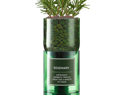Hydro - Herb – Rosemary Growing Kit in Recycled Wine Bottle | Indoor Hydroponic Herb Garden | Hydro - Herb Kit | HHKROSEMARY | AllotMate Essentials