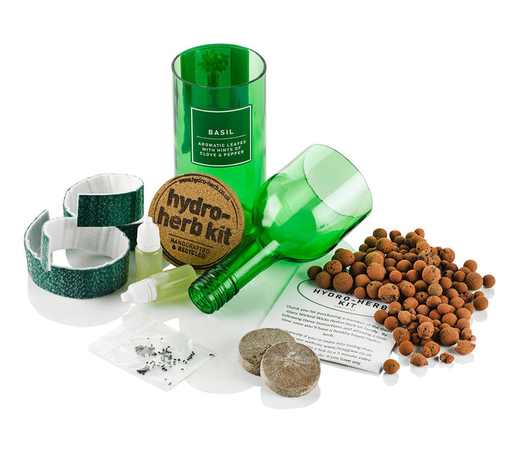 Hydro - Herb – Rosemary Growing Kit in Recycled Wine Bottle | Indoor Hydroponic Herb Garden | Hydro - Herb Kit | HHKROSEMARY | AllotMate Essentials