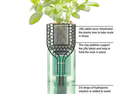 Hydro - Herb – Rosemary Growing Kit in Recycled Wine Bottle | Indoor Hydroponic Herb Garden | Hydro - Herb Kit | HHKROSEMARY | AllotMate Essentials