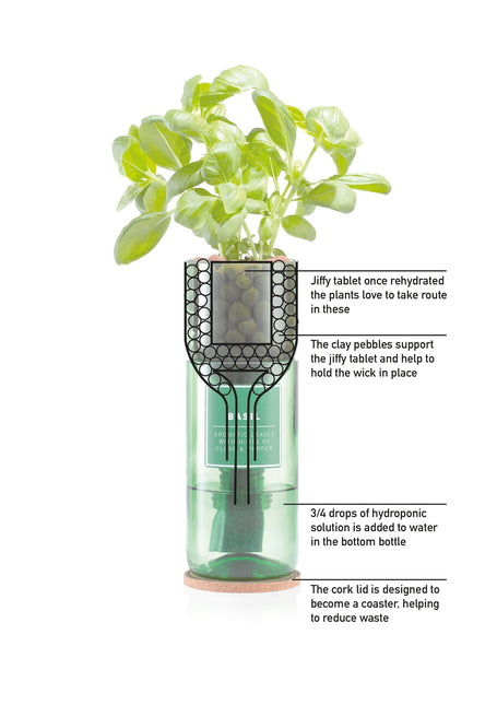 Hydro - Herb – Rosemary Growing Kit in Recycled Wine Bottle | Indoor Hydroponic Herb Garden | Hydro - Herb Kit | HHKROSEMARY | AllotMate Essentials