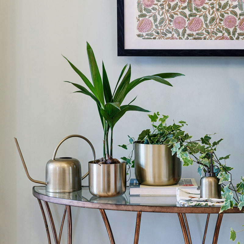 Ivyline Kew Plant Mister: Hand-Finished Metal Mister for Ferns, Orchids and Humidity-Loving Houseplants | Plant Mister | 5055352847686 5055352847686 | AllotMate Essentials