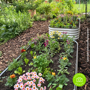 Landscaping Garden Bark Mulch | Bark & Mulch | DLBHBB Custom Product | AllotMate Essentials