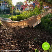 Landscaping Garden Bark Mulch | Bark & Mulch | DLBHBB Custom Product | AllotMate Essentials