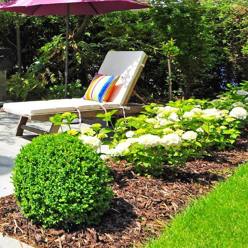 Landscaping Garden Bark Mulch | Bark & Mulch | DLBSBB Custom Product | AllotMate Essentials