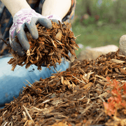 Landscaping Garden Bark Mulch | Bark & Mulch | DLBSBB Custom Product | AllotMate Essentials