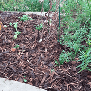 Landscaping Garden Bark Mulch | Bark & Mulch | LB5X100HB Custom Product | AllotMate Essentials