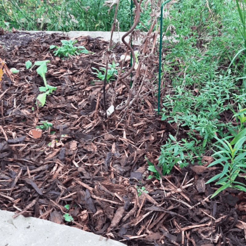 Landscaping Garden Bark Mulch | Bark & Mulch | LB5X100HB Custom Product | AllotMate Essentials